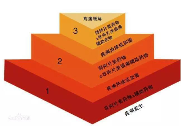 微信图片_20211012114736.jpg