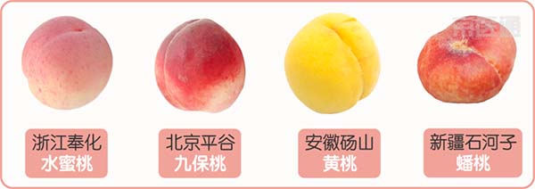 微信图片_20220317111344.jpg