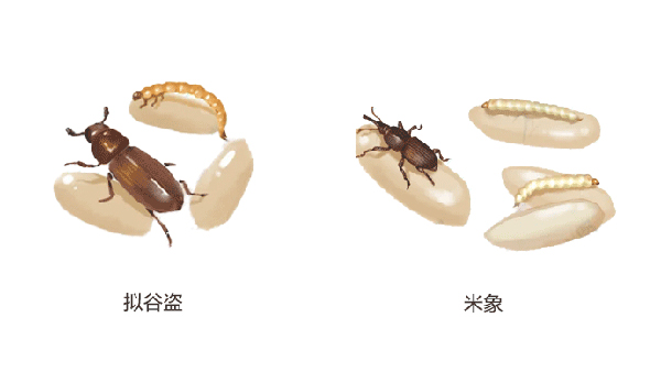 微信图片_20220317134254.jpg
