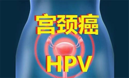 微信图片_20240409135109.png