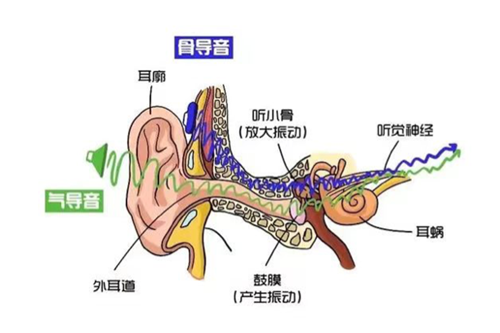 微信图片_20240410153128.png