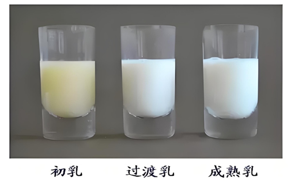 微信图片_20240522133443.png