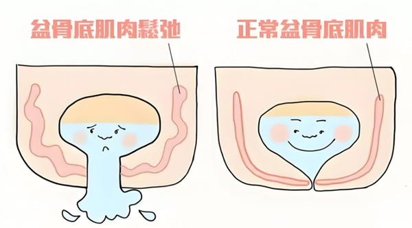 微信图片_20241016163112.png