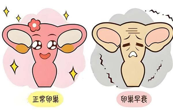 微信图片_20241018091125.jpg