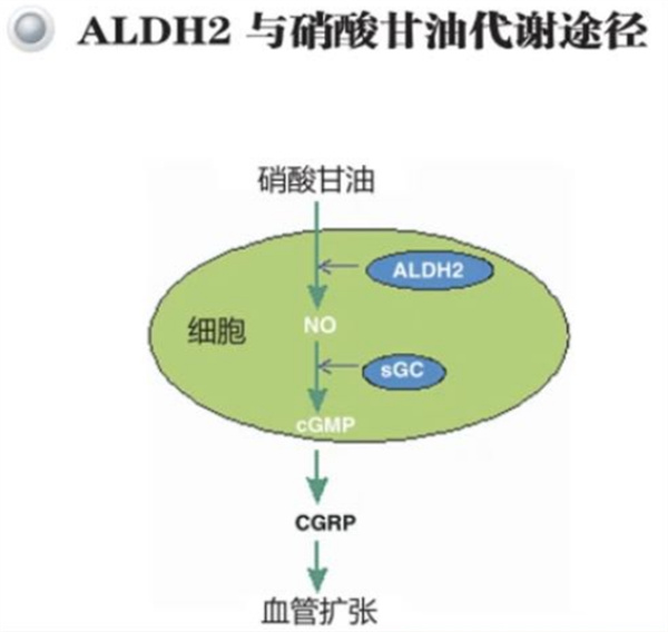 微信图片_20241118174606.jpg