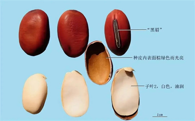 图片7.jpg