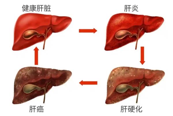 微信图片_20250912145059.jpg