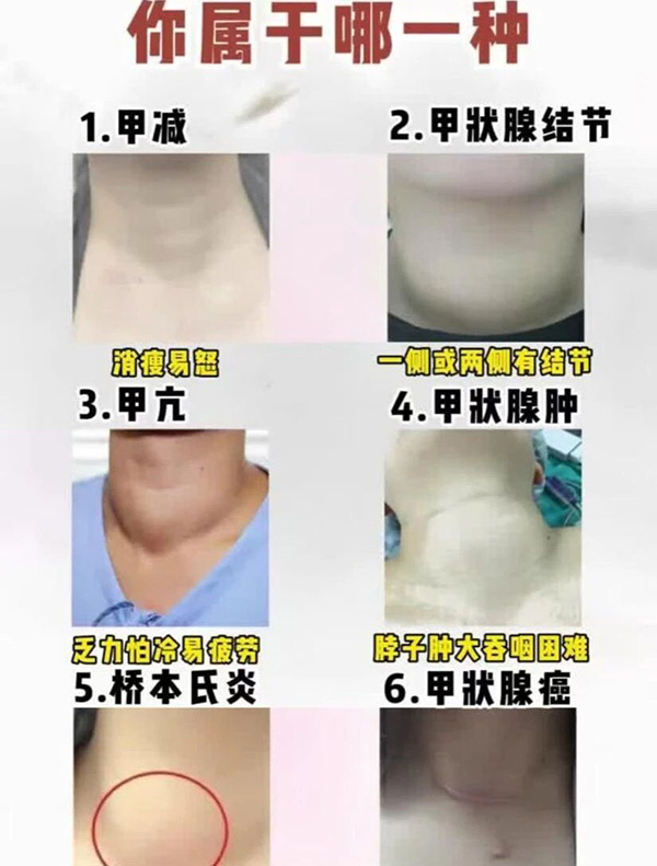 微信图片_2026-04-01_084751_372.jpg