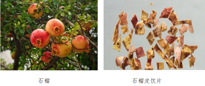 石榴皮.png 石榴皮.png