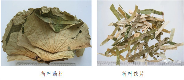 一莲出九药.jpg 一莲出九药.jpg