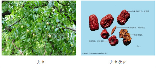 大枣.jpg 大枣.jpg